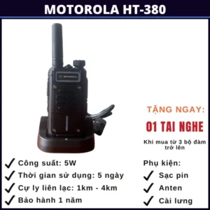 thuê-bo-dam-tai-vung-tau